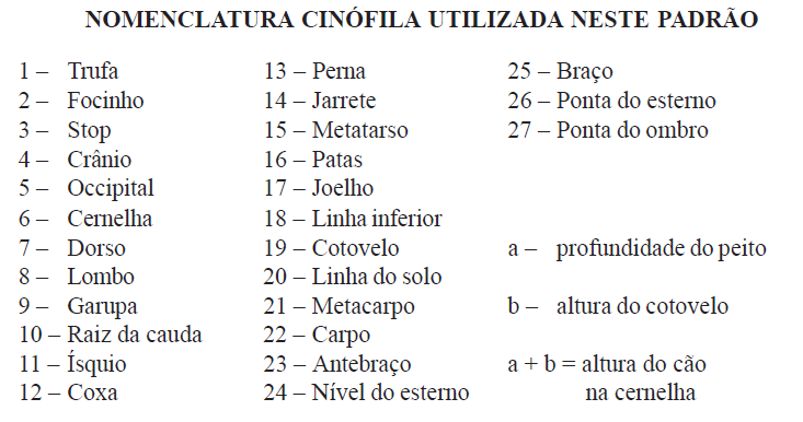 NOMENCLATURA CINÓFILA UTILIZADA NESTE PADRÃO